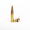 PMC 5.56X 5.56x45mm 55 Grain FMJ Rounds