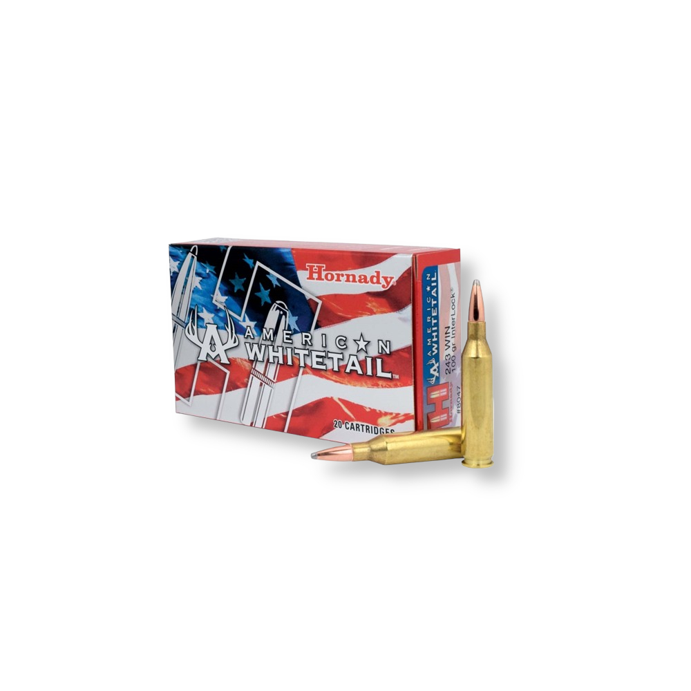 .243 Winchester 100gr SP Brass – 200rd