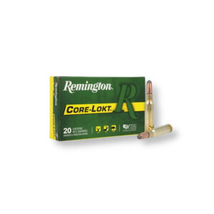 Remington 308 Win 180 gr SP