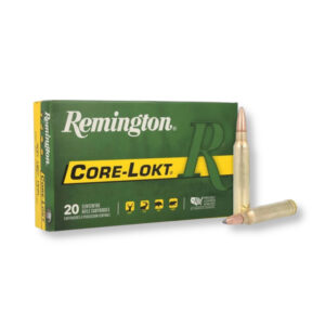 Remington 300 Win Mag 180 gr PSP 29497-R300W2