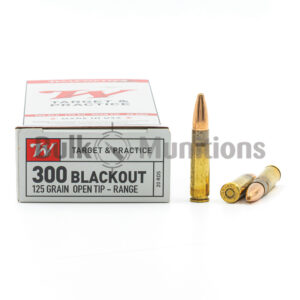 300 AAC - 125 gr OT - Winchester (USA300BLK) - 200 Rounds